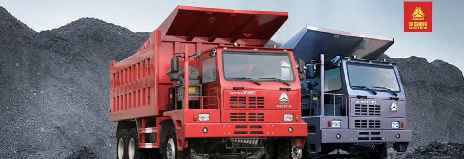 Camion pesante del carico