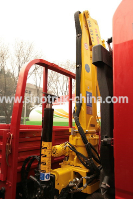 I camion della costruzione/il camion commerciali di bassa potenza carico della luce con 3 tonnellate Crane