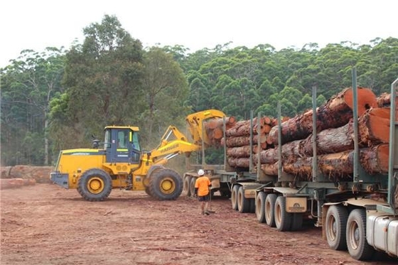 Il macchinario di sollevamento della costruzione pesante del peso 20000KGS con 6Tons aziona il peso