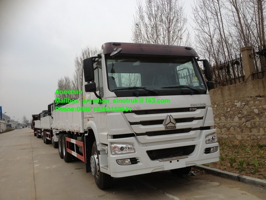 Sinotruk 40T Stander 336hp 10 spinge il camion pesante del carico