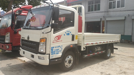 Guida a sinistra del camion del carico della luce di Sinotruk passata iso 10T HOWO 4x2 Euro3 con CA