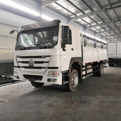 Camion pesante di bassa potenza Lorry Van Goods del contenitore di camion 290HP del carico 4x2 di Sinotruk HOWO