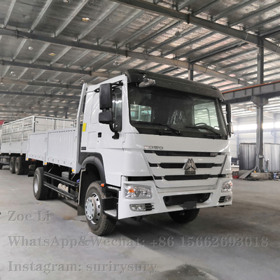 Camion pesante di bassa potenza Lorry Van Goods del contenitore di camion 290HP del carico 4x2 di Sinotruk HOWO