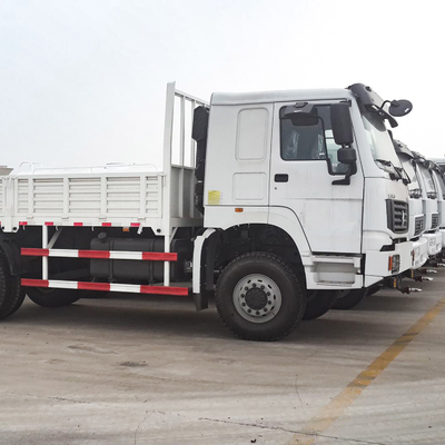 Camion pesante di bassa potenza Lorry Van Goods del contenitore di camion 290HP del carico 4x2 di Sinotruk HOWO